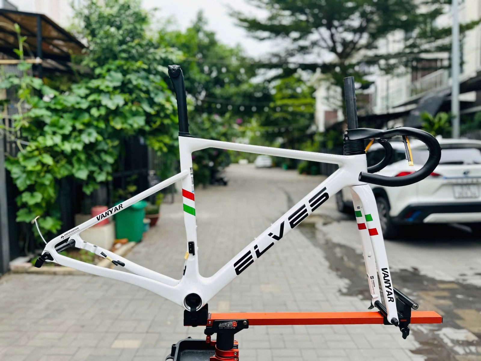 ELVES VANYAR TRẮNG SỌC XANH ĐỎ