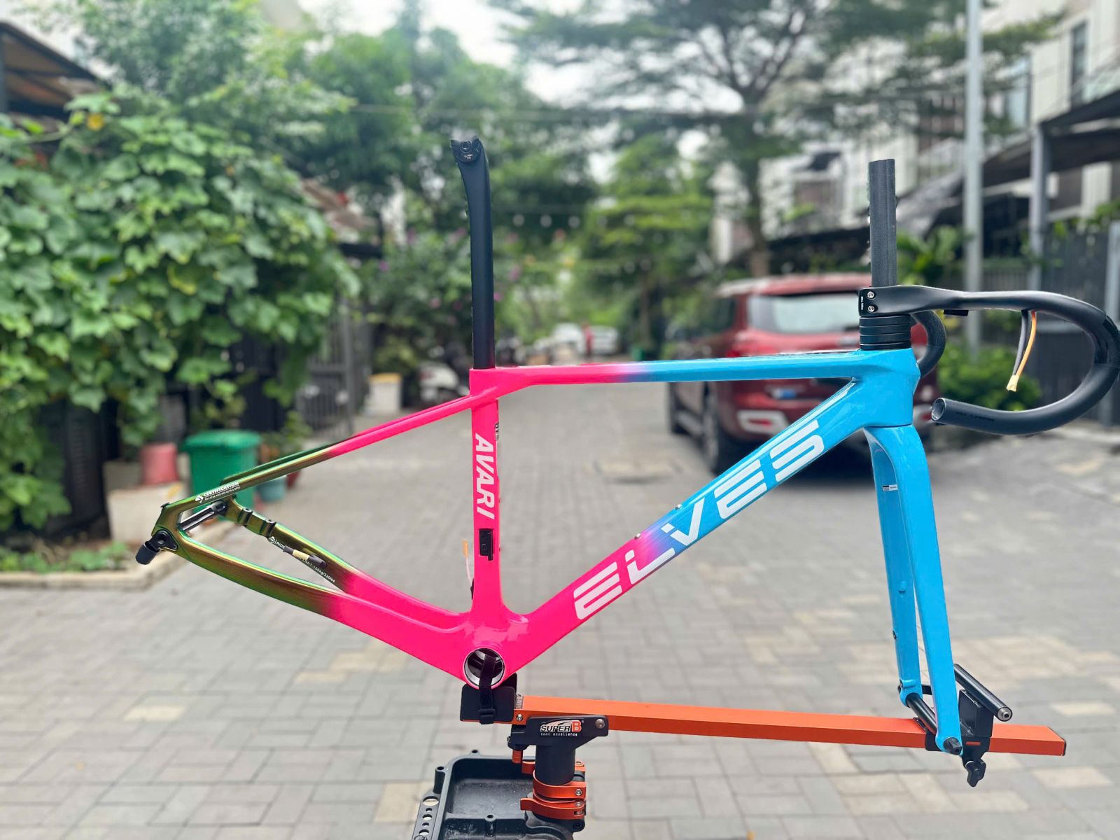 ELVES AVARI HỒNG XANH XANH NHŨ