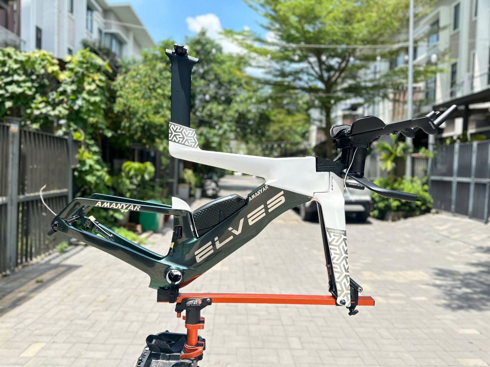 ELVES AMANYAR TRẮNG RÊU