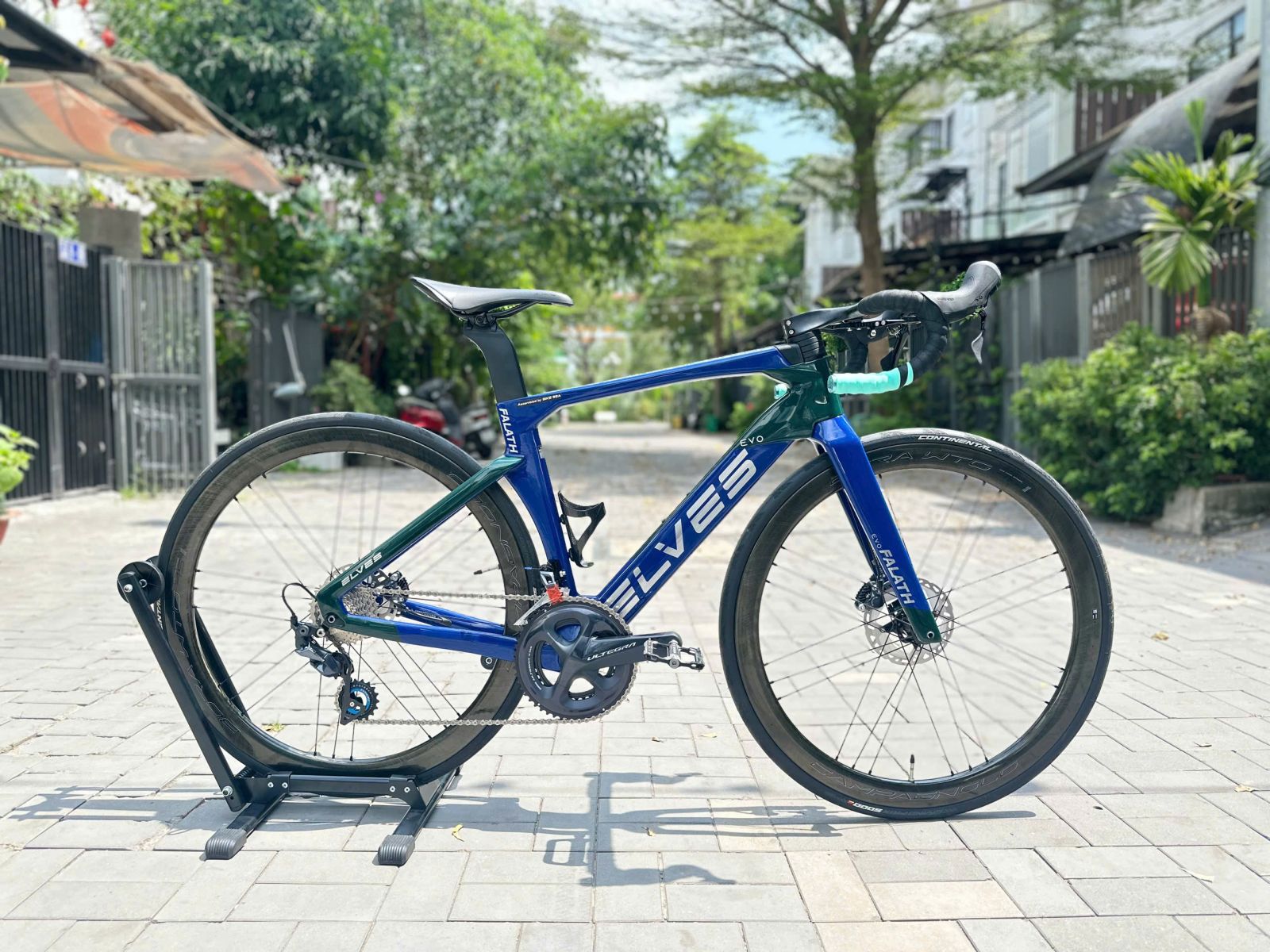 ELVES EVO - CAMPAGNOLO