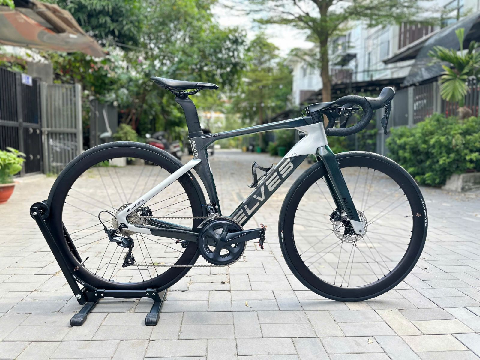 ELVES EVO - CAMPA C23