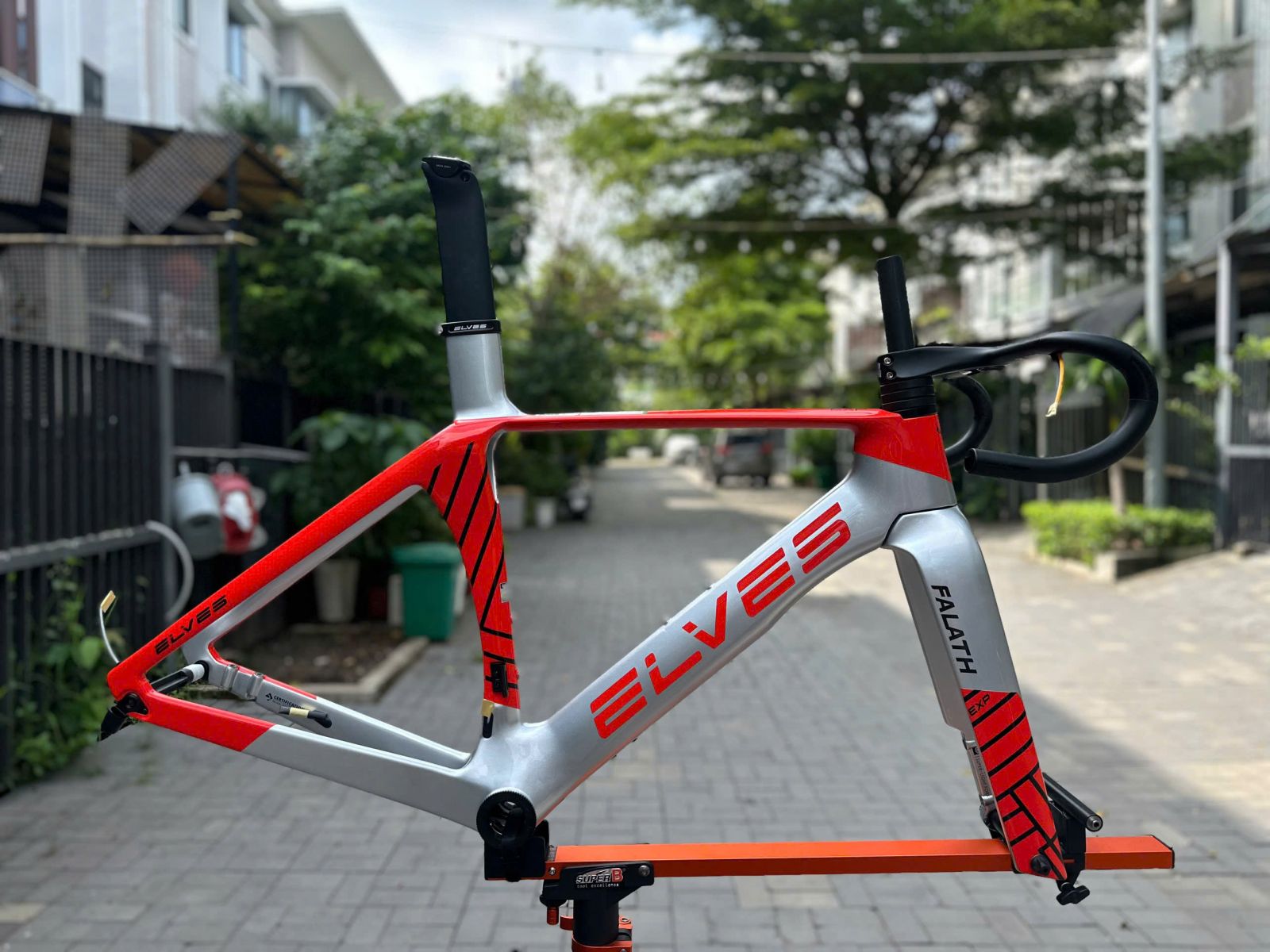 ELVES EXP BẠC CAM