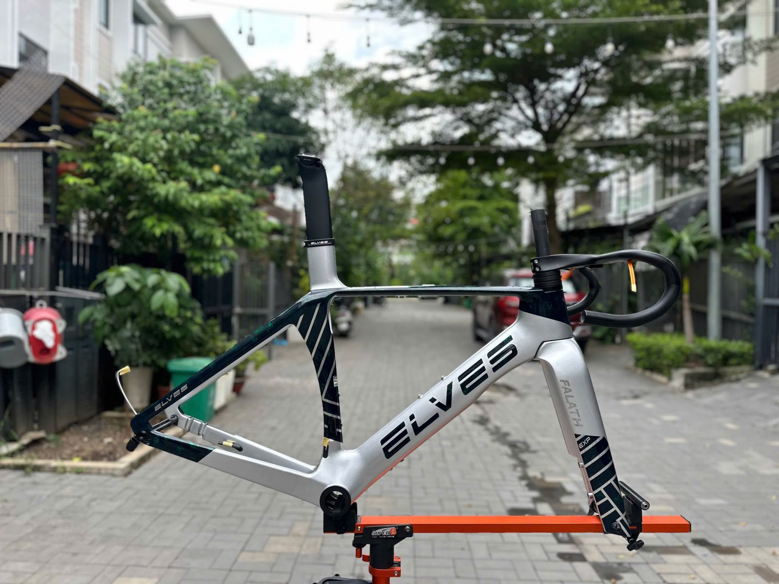 ELVES EXP CỰC QUANG XANH LÁ BẠC