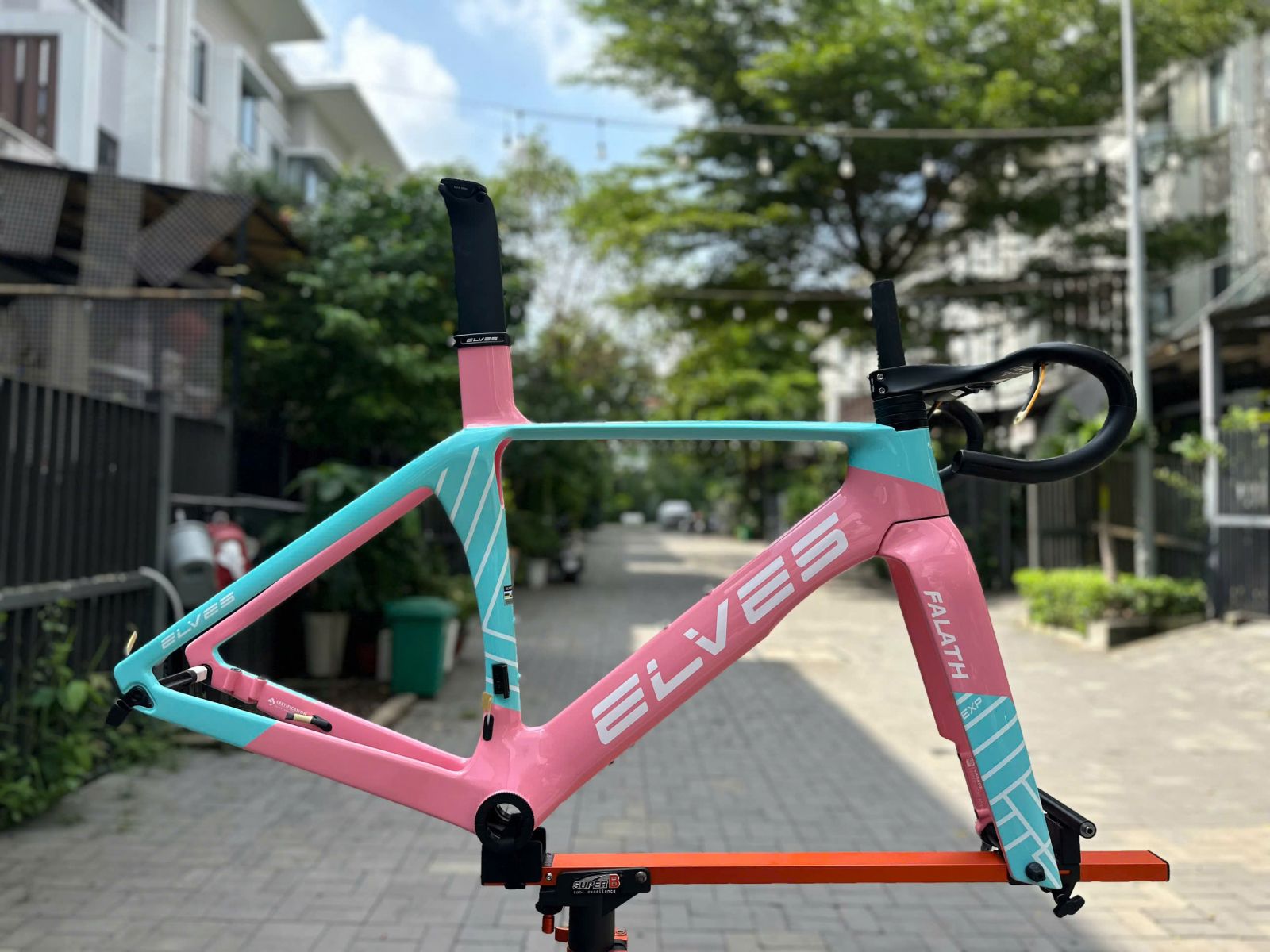 ELVES EXP XANH HỒNG