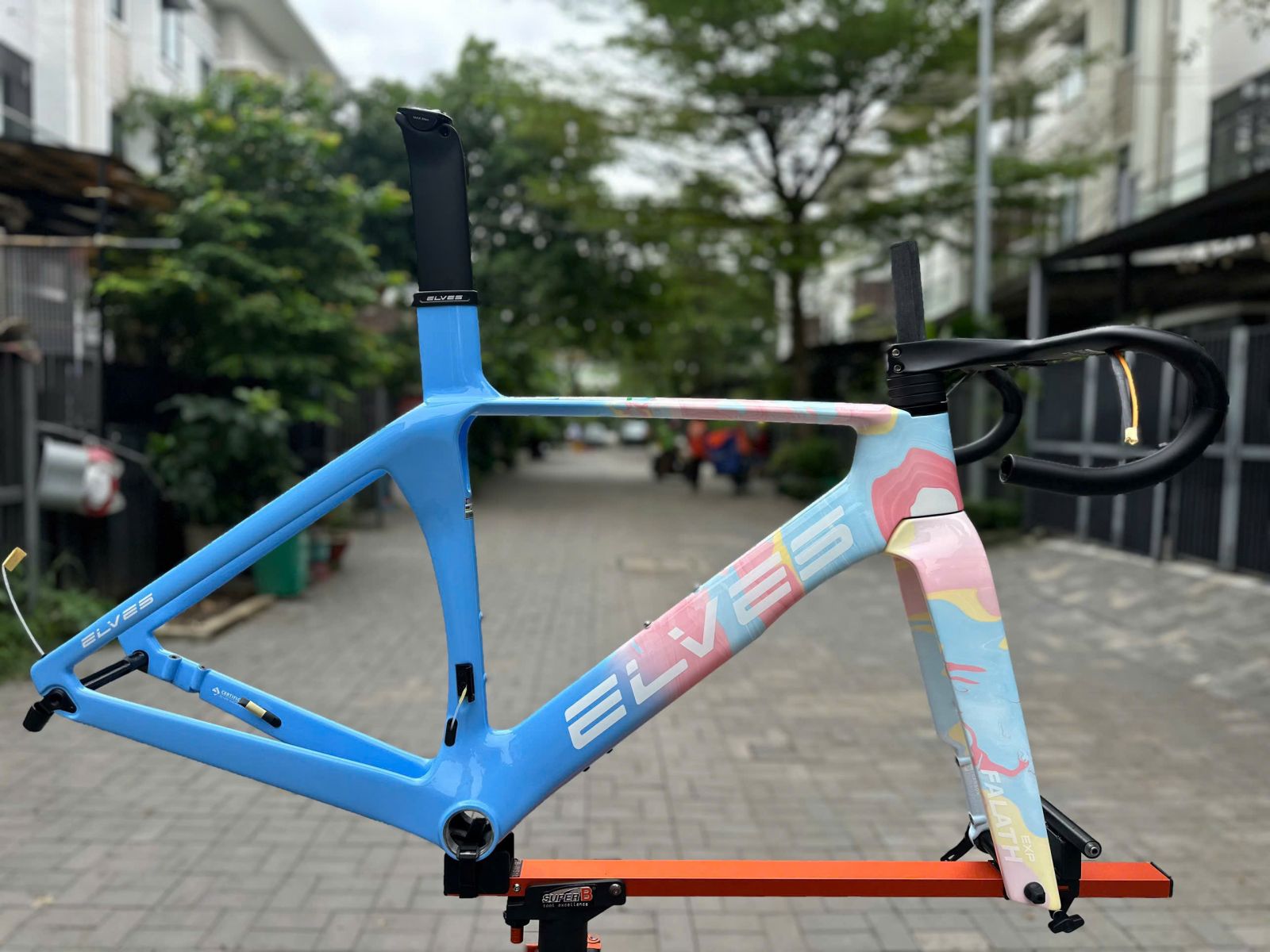 ELVES EXP XANH HỒNG LOANG